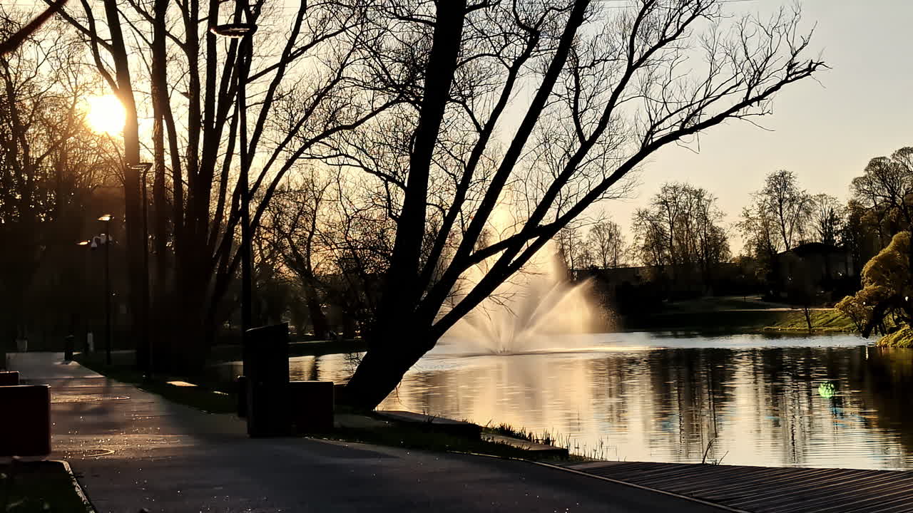 Sunset light shining through trees by city lake fountain in park
