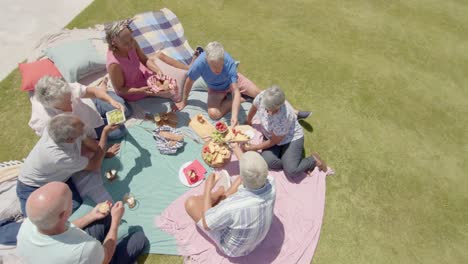 high angle of happy diverse senior friends having picnic in sunny garden, unaltered, in slow motion