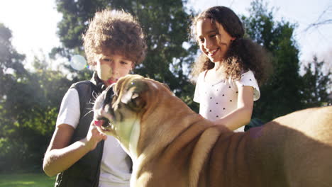 children playing with a dog in a garden