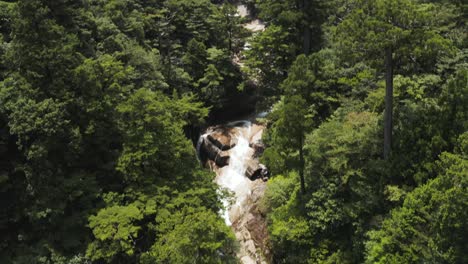 yakushima island, japan