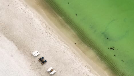 close-up-view-beach-with-clear-sand,-one-bird-walking-and-empty-lounge-chairs