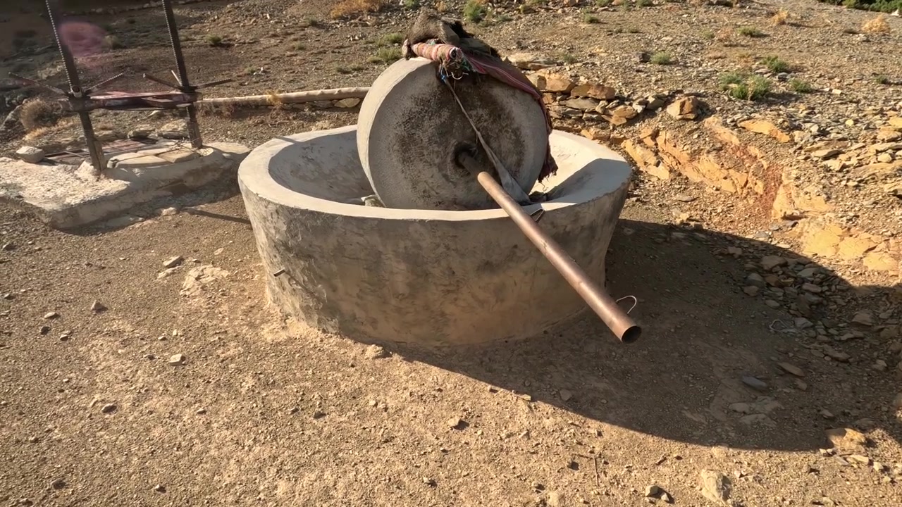 Frantoio tradizionale abbandonato con vasca in pietra e ruota di macinazione, che mostra macchinari rurali storici un tempo utilizzati per spremere le olive in olio in un ambiente rurale rustico.