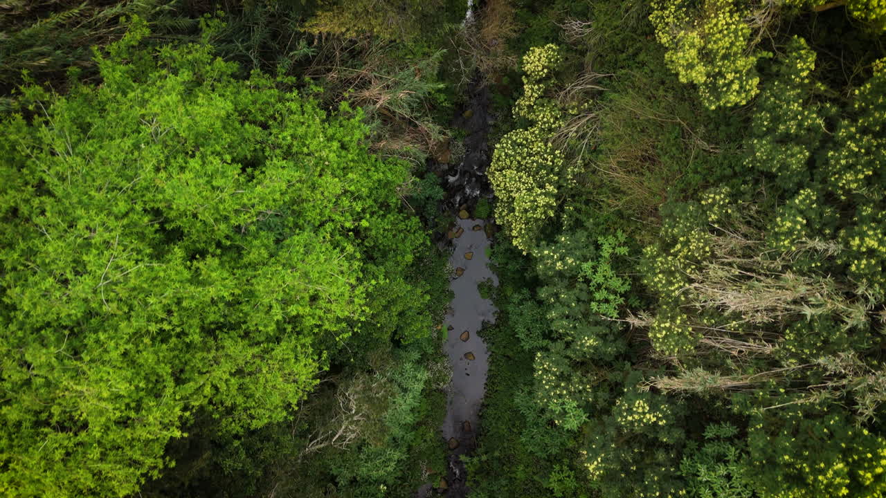 epic topdown fpv cascada vista de la montaña a las olas del mar, movimiento de drones genial, madeira, portugal