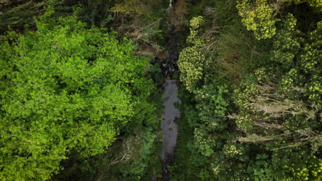 Epic-topdown-FPV-waterfall-mountain-view-to-sea-waves,-cool-drone-movement,-Madeira,-Portugal