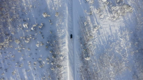 a car driving along a road in winter wilderness, top down angle