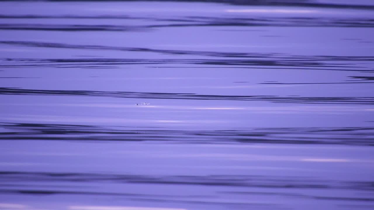 pequeñas olas de agua al atardecer en el lago