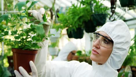 Female-scientist-checking-pot-plant