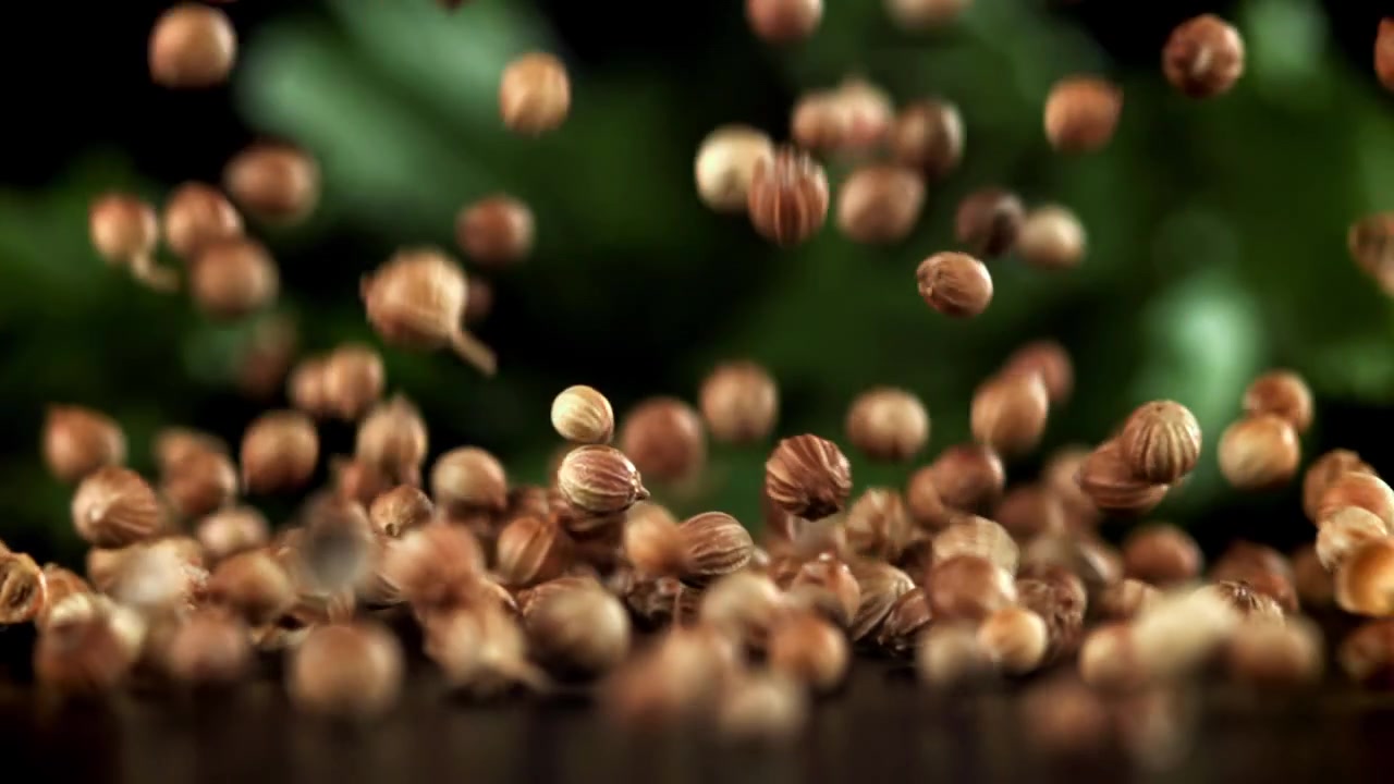 Coriander Seeds Falling in Slow Motion onto a Dark Surface