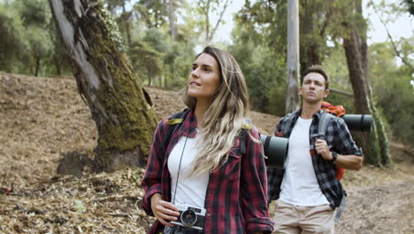 turistas ativos olhando a paisagem, carregando câmera fotográfica