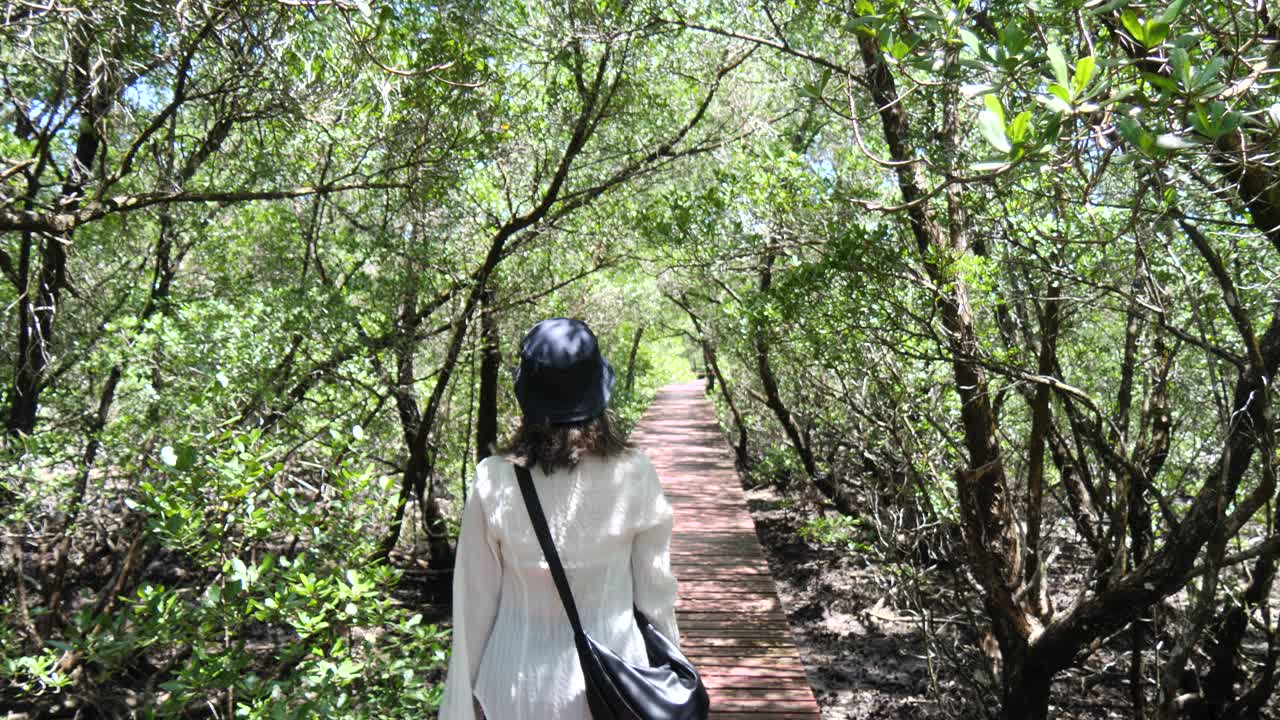Tropical Remote Travel, Mangrove Verdant Environment, Woman Exploring