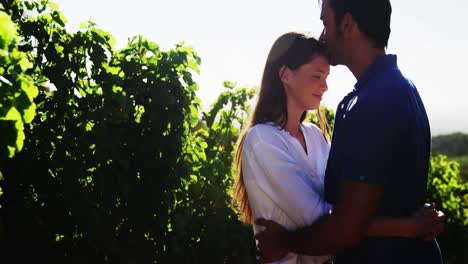 romantic couple in love at a vineyard