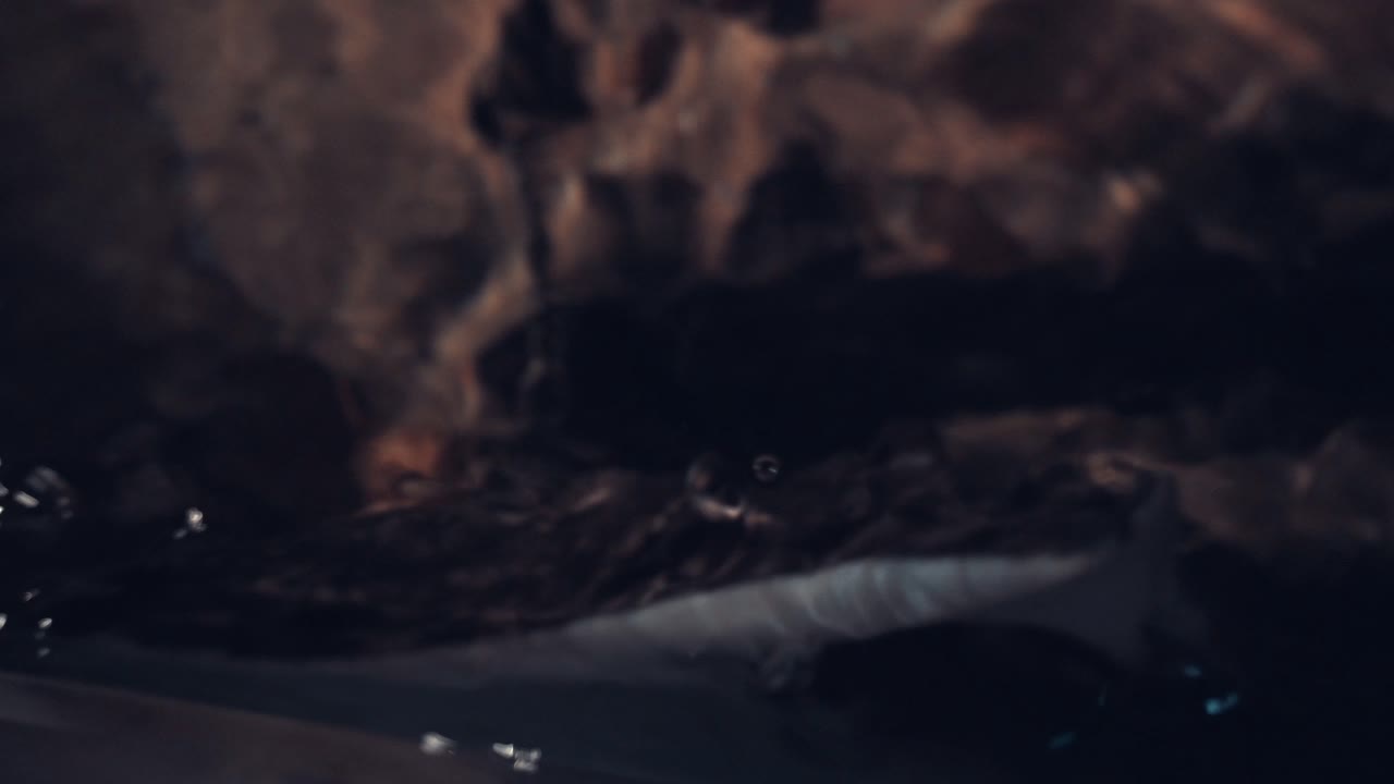 vista cercana de la boca y las branquias de los peces skate nadando en el zoológico de chester, reino unido