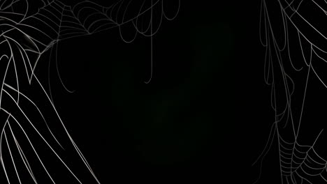 spider webs animation over dark background