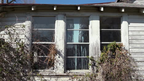 Medium-shot-of-vines-and-other-plants-being-blown-by-the-wind-in-front-of-three-windows-of-an-old-spooky-abandoned-farmhouse