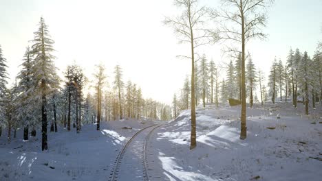 flight above winter forest