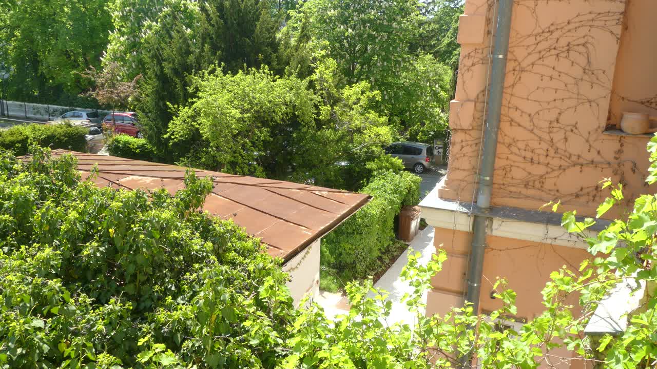 건물과 자연을 담은 동네 사진