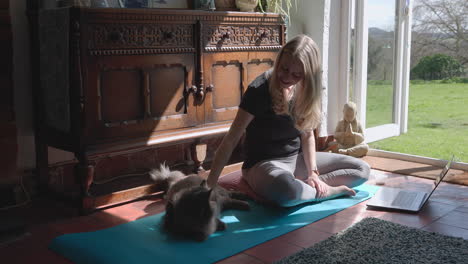 woman doing yoga with her cat at home