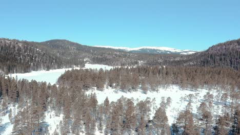 Vista-De-Los-Bosques-En-La-Montaña-Invernal-En-Un-Día-Soleado-En-Noruega