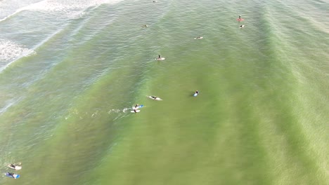 aerial view of surfers paddling through shallow green waves at west sands beach, st andrews, under bright daylight with steady overhead camera movement