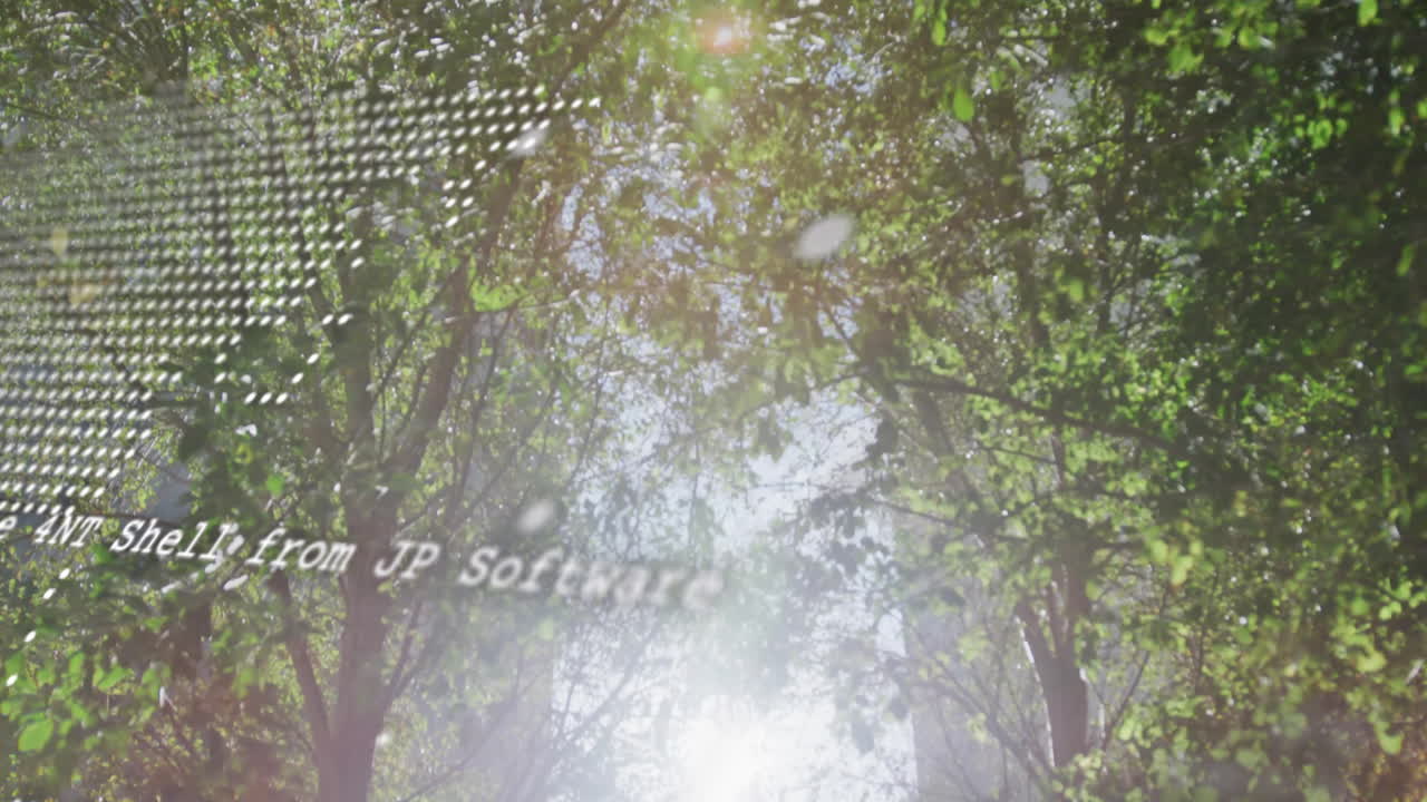 Sunlight filtering through lush green trees creating animation effect in forest scene