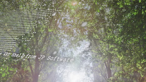 sunlight filtering through lush green trees creating animation effect in forest scene