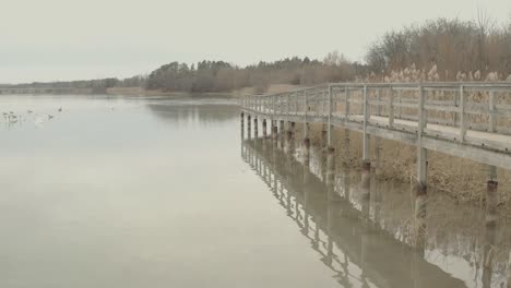 Drohnenaufnahmen-Im-Marschland