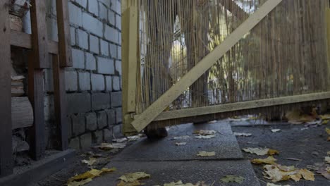 los pies del hombre caminando a través de una puerta de mala calidad junto a una pared de ladrillos