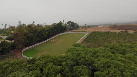 Establishing-flyover-of-a-tree-covered-path-and-driveway-to-horses-in-Malibu-stables