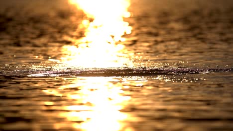 Slow-motion-of-water-splashing-on-lake-surface-against-sunlight