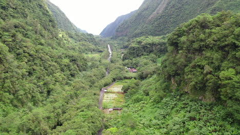 flight along a lush valley away from grand galet falls at the cascade langevin on the island of réunion