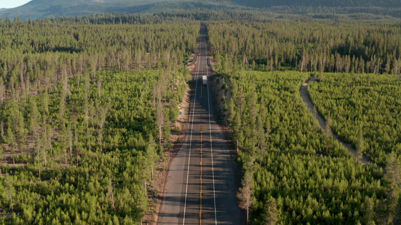 disparo aéreo sobre un camión que conduce por un camino recto a través del bosque de pinos