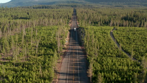 Aerial-shot-over-truck-driving-on-a-straight-road-through-pine-forest