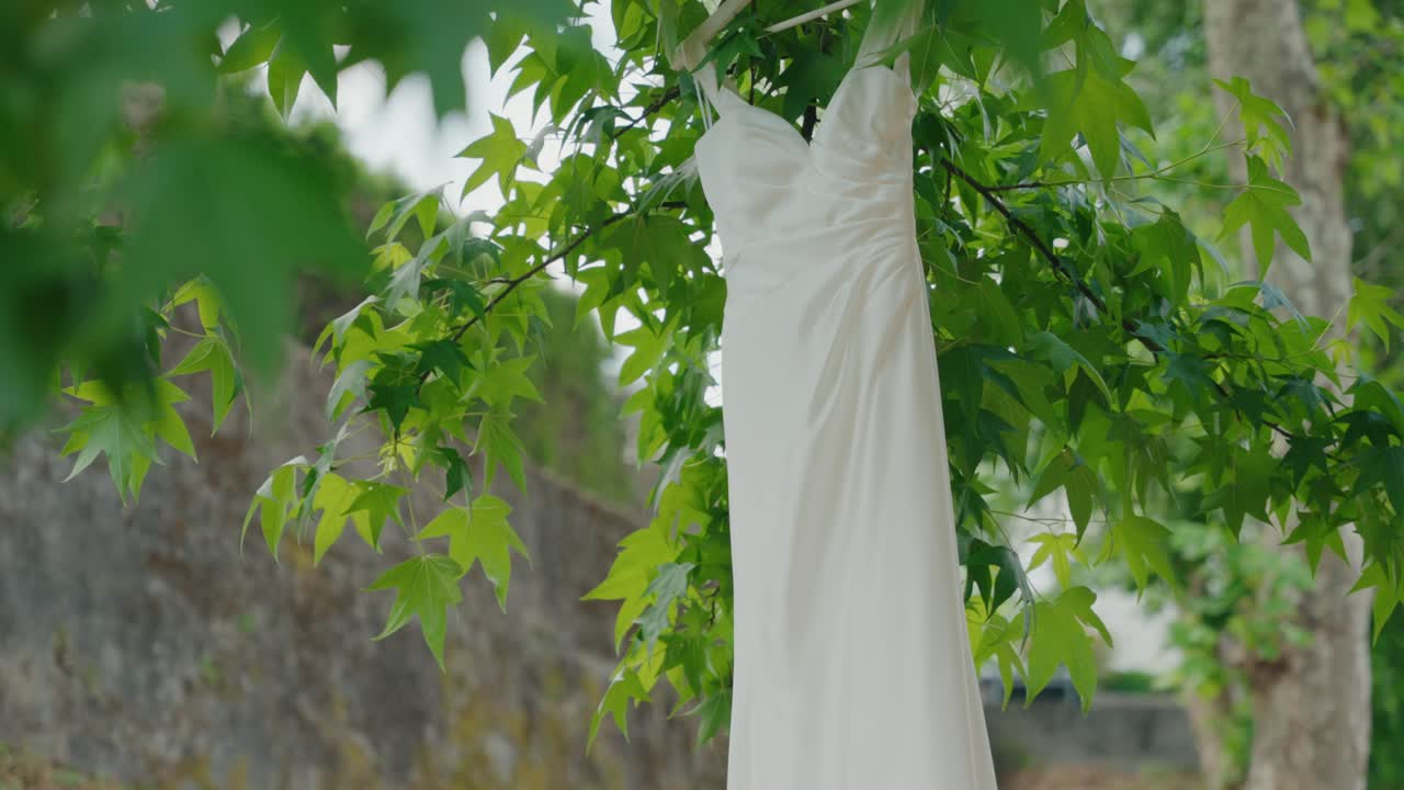 white bridal gown suspended from tree in peaceful natural setting vertical