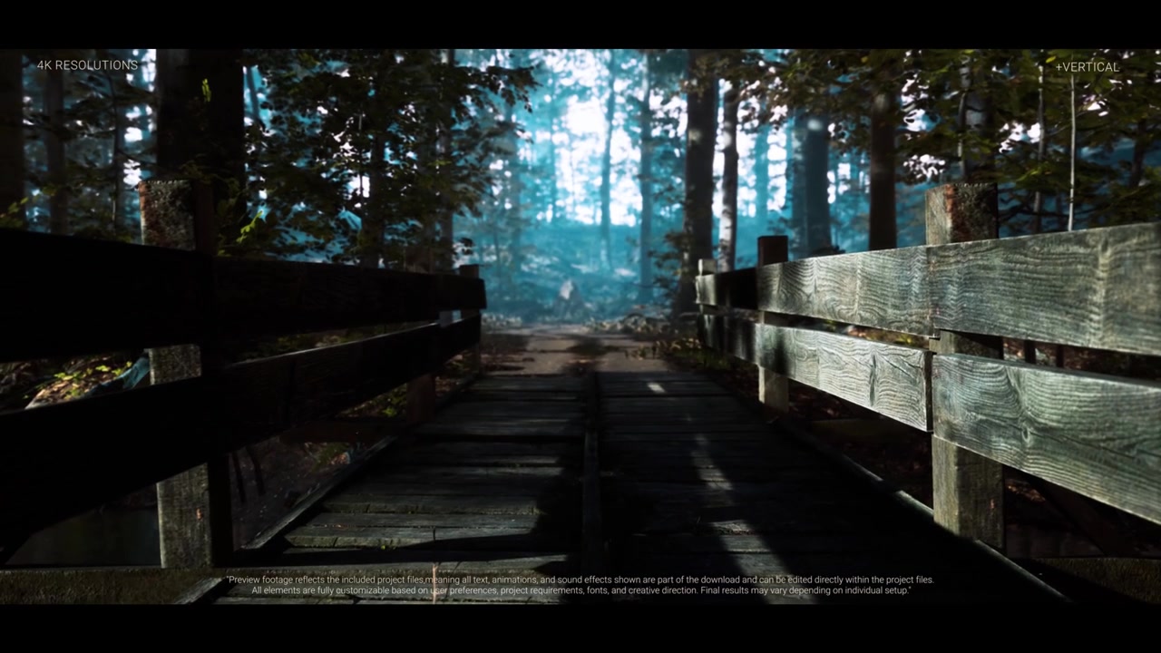 Professional motion graphics template