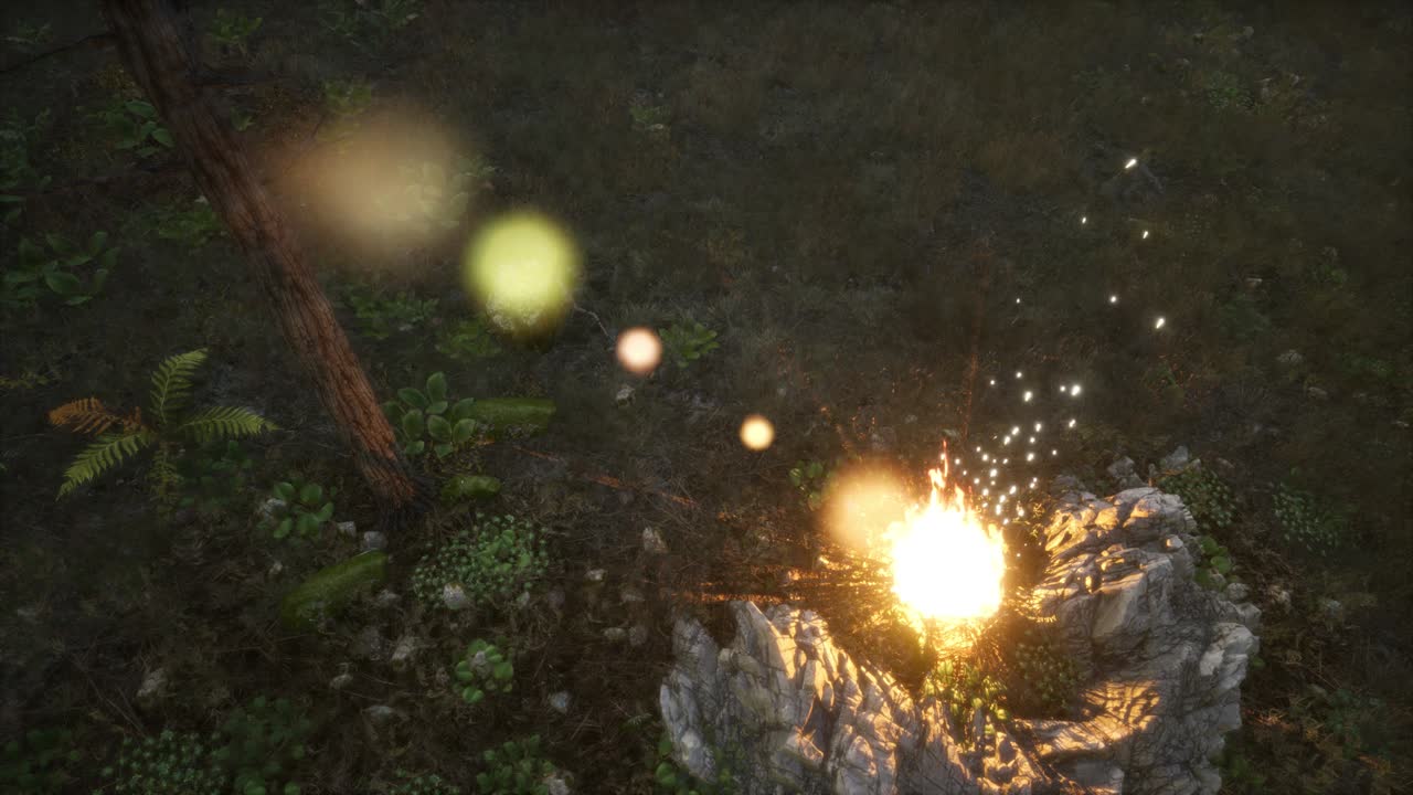 산 에 있는 캠프 파이어