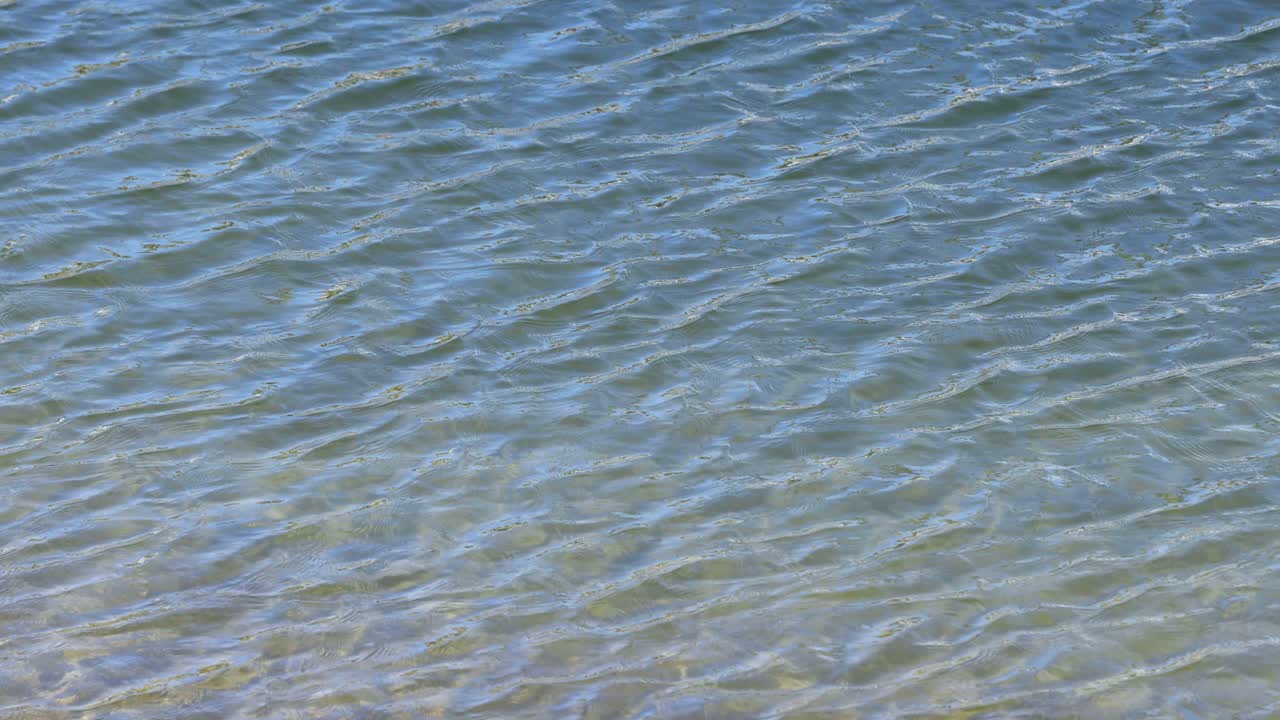 파도가 물 표면을 가게 물결로 가로질러