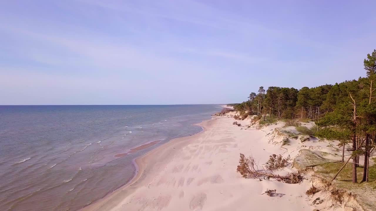 Вид с воздуха на побережье Балтийского моря в солнечный день: крутые прибрежные дюны, поврежденные волнами, сломанные сосны, береговая эрозия, изменение климата. Широкоугольная съемка дроном, движущаяся вперед.