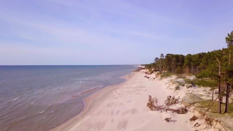 vista aérea de la costa del mar báltico en un día soleado, dunas escarpadas de la costa dañadas por las olas, pinos rotos, erosión costera, cambios climáticos, disparos de drones de gran angular que avanzan