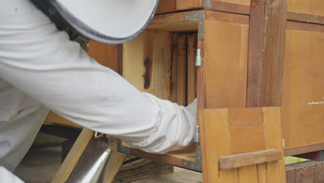 beekeeper pulling from a beehive a frame with a honeycomb, close up shot