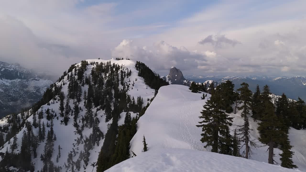 Snowy Mountain Peak with Evergreen Trees in BC, Canada
