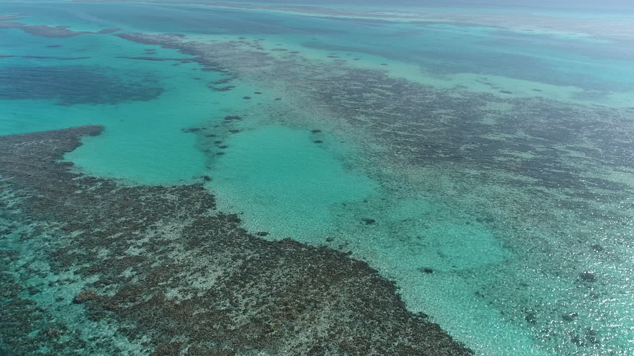 Aerial View of Coral Reefs in Clear Tropical Waters