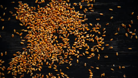 Wheat-seeds-being-dropped-onto-a-wooden-plate