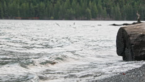 Waves-Splashing-On-The-Rocky-Lakeshore-In-Lake-Crescent,-Washington-With-Large-Driftwood-Washed-Ashore