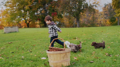 The-kid-runs-away-from-the-puppies,-playing-together-in-the-park.