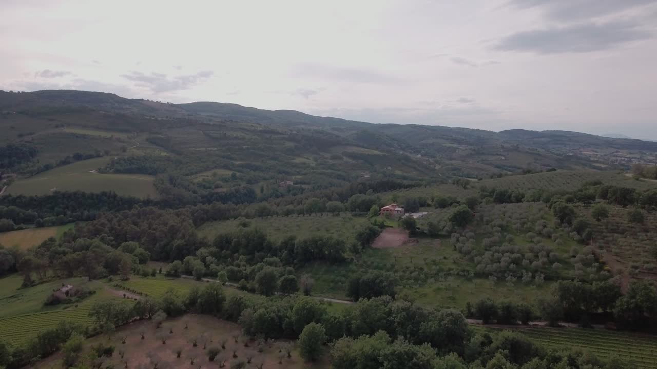 Aerial Drone shot Fly Over Olive Groves and Italian Countryside in Umbria, Italy