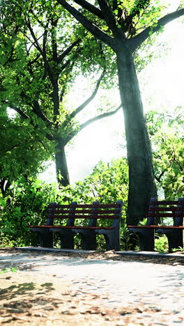 peaceful park bench under the summer sun