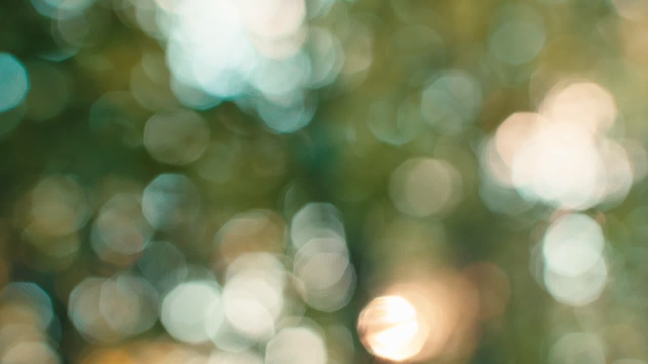Bokeh astratto della natura. Sfondo verde della foresta sfocato con la luce del sole che filtra tra le foglie durante una carrellata al rallentatore. Cerchi di luce soffusa in movimento