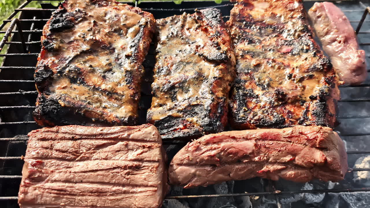 Juicy Meat Smoking on Campfire Grill – Close Up Cooking in the Wild