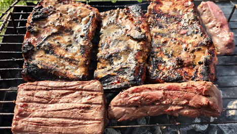 juicy meat smoking on campfire grill – close up cooking in the wild