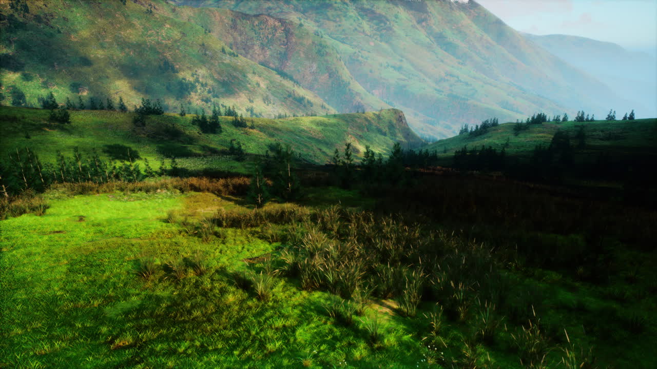 hermosa vista de la montaña con hierba verde exuberante y árboles
